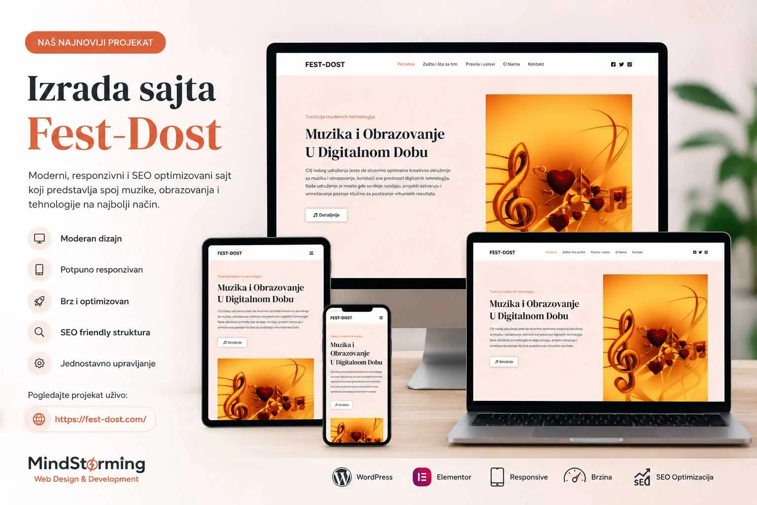 izrada sajta Fest-Dost